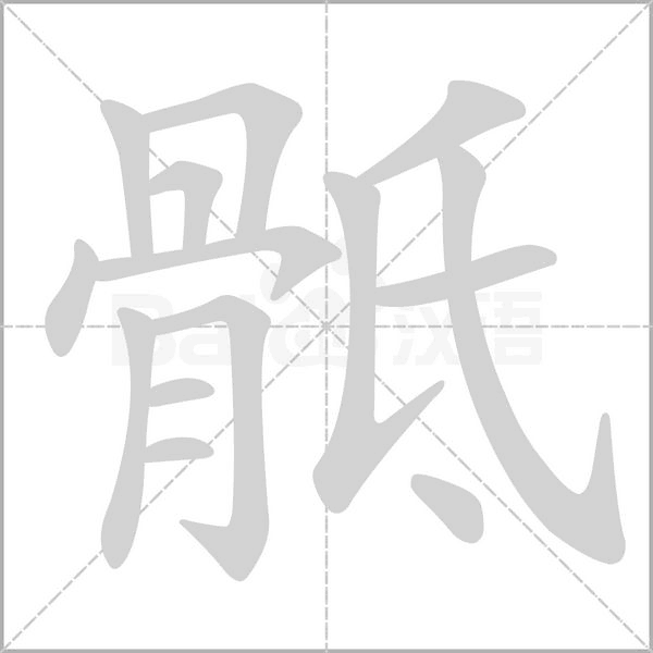 骶字笔顺动画