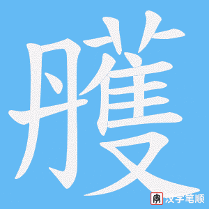 雘字笔顺动画