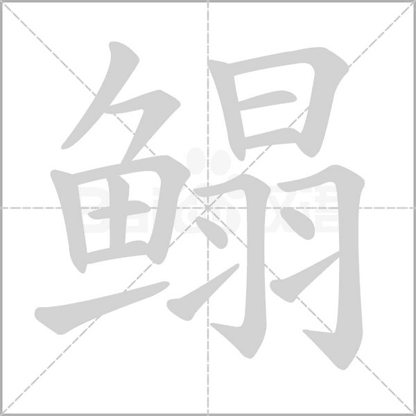 鳎字笔顺动画
