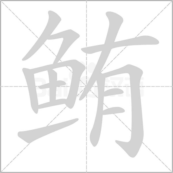 鲔字笔顺动画