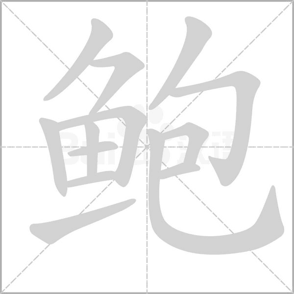 鲍字笔顺动画