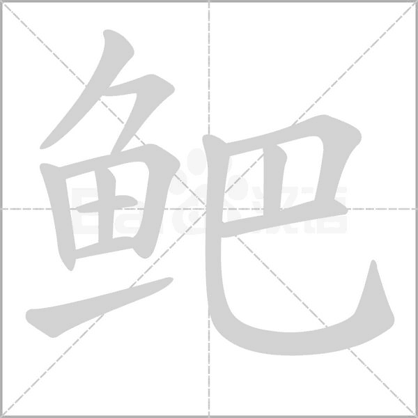 鲃字笔顺动画