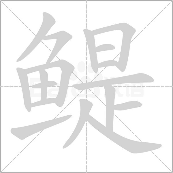 鳀字笔顺动画