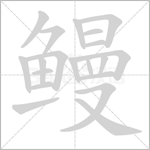 鳗字笔顺动画