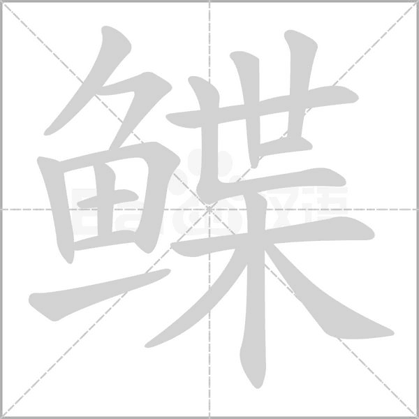 鲽字笔顺动画