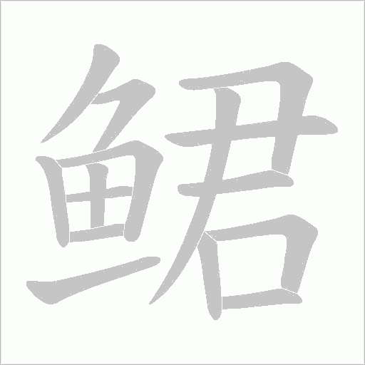 鲪字笔顺动画