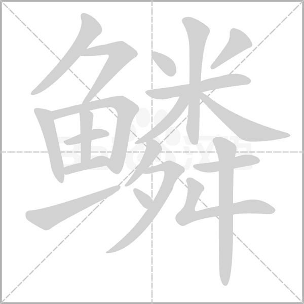 鳞字笔顺动画