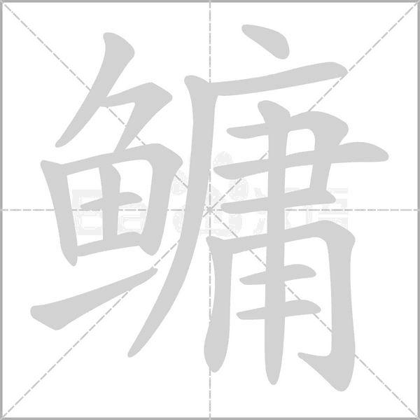 鳙字笔顺动画