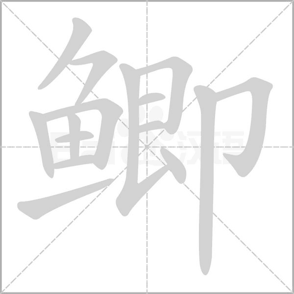 鲫字笔顺动画