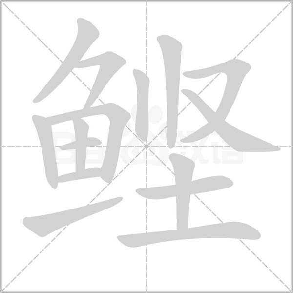 鲣字笔顺动画