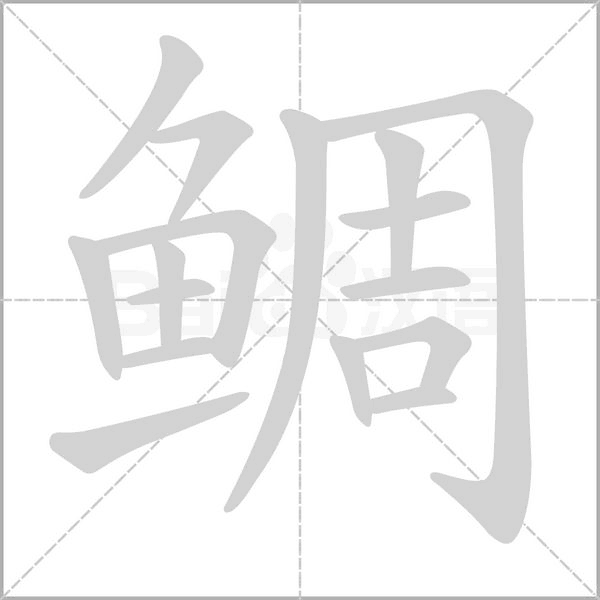 鲷字笔顺动画