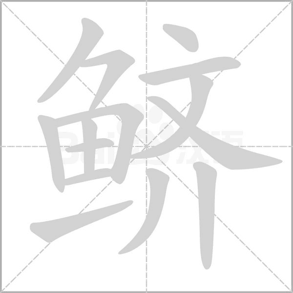鲚字笔顺动画