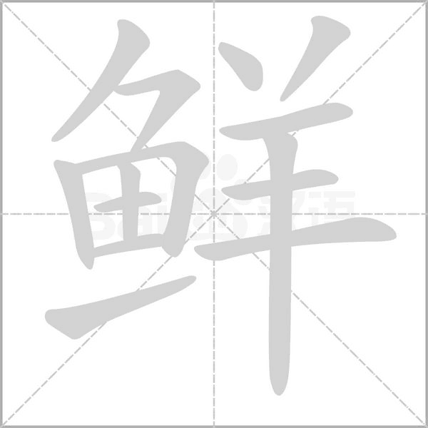 鲜字笔顺动画