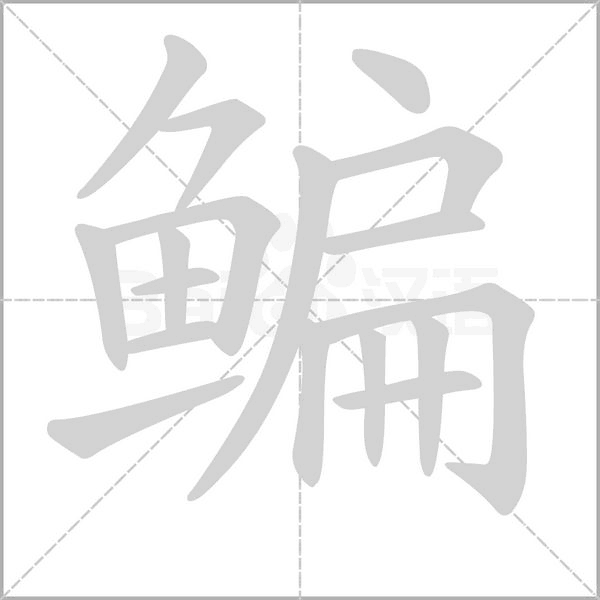 鳊字笔顺动画