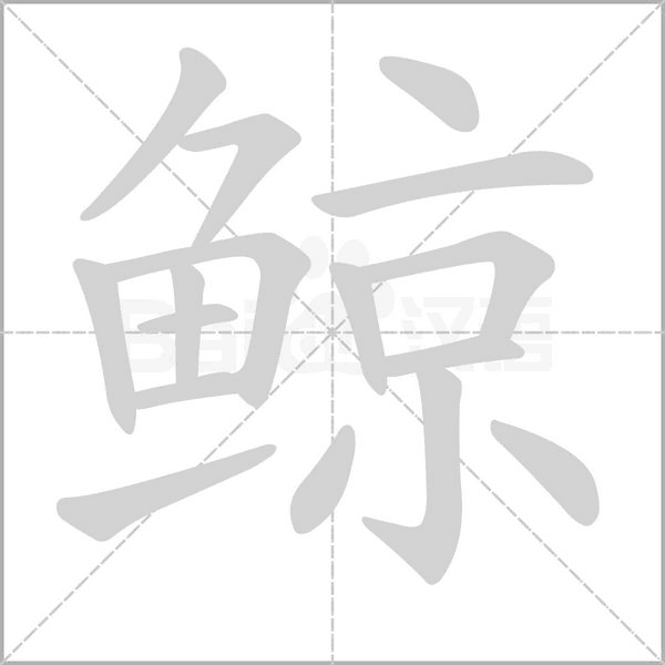 鲸字笔顺动画
