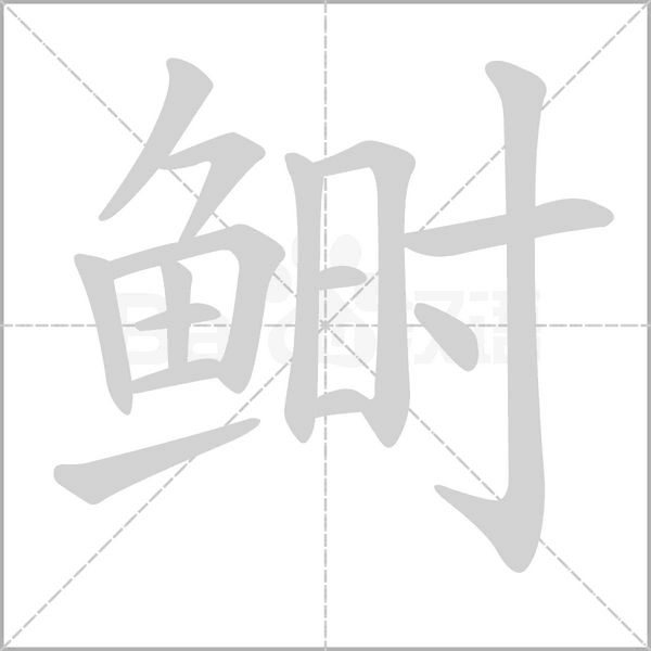 鲥字笔顺动画