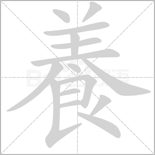養字笔顺动画
