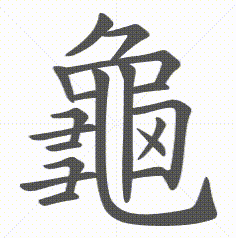 龜字笔顺动画