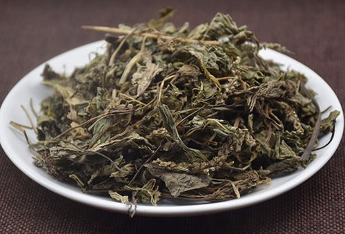 车前草
