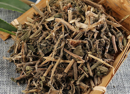 葎草