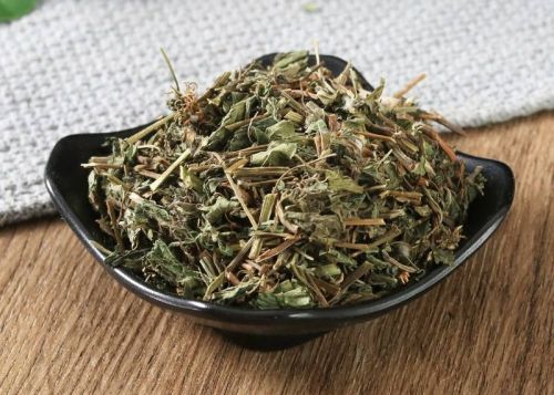 绞股蓝