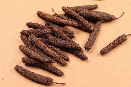 荜茇