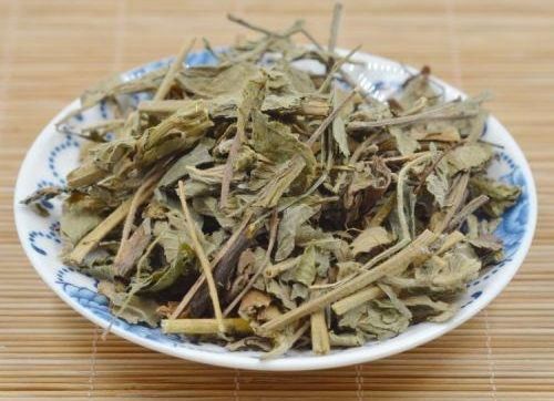 鹤草芽