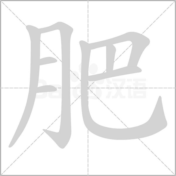 肥字笔顺动画