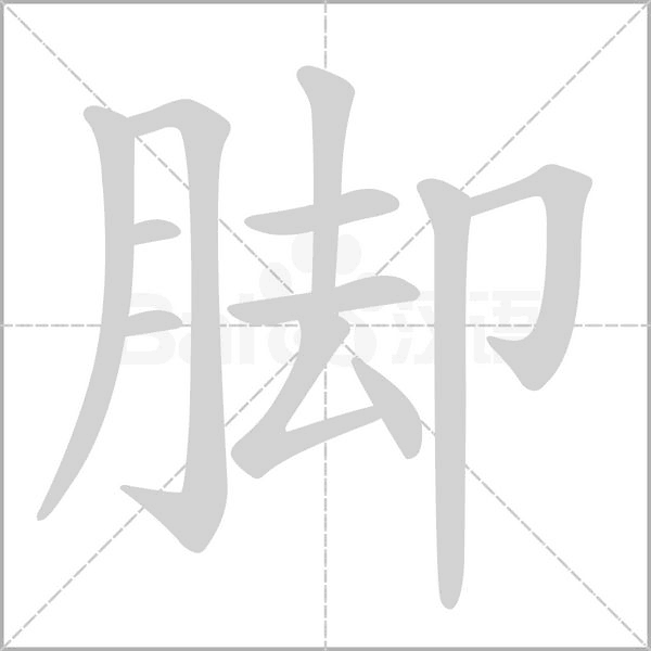 脚字笔顺动画