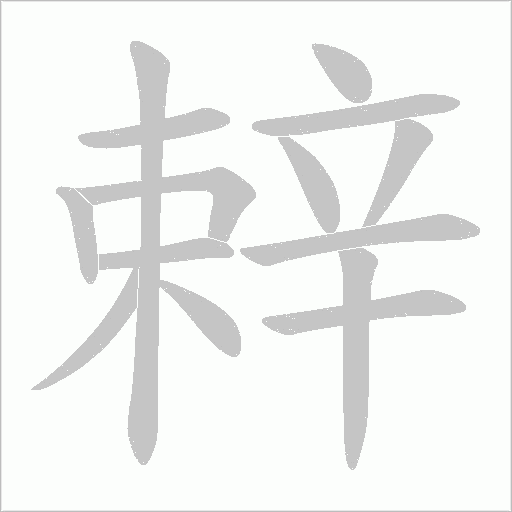 辢字笔顺动画
