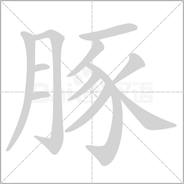豚字笔顺动画
