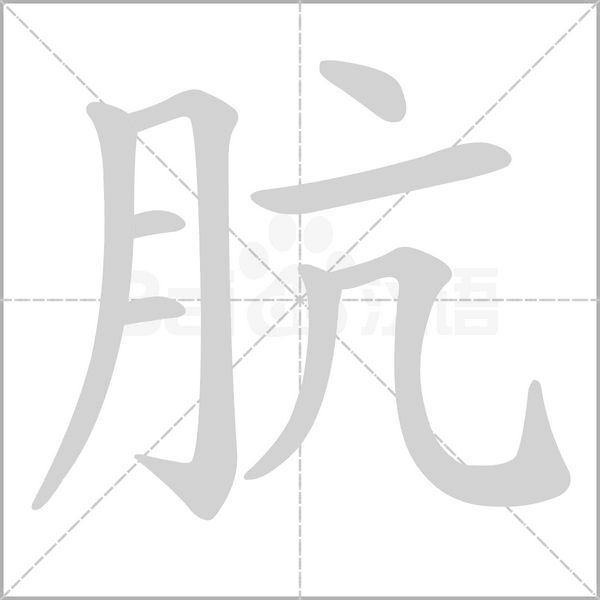 肮字笔顺动画