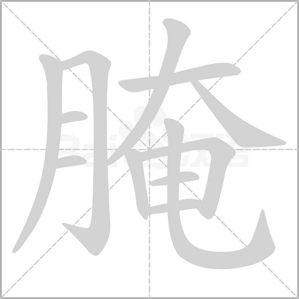 腌字笔顺动画