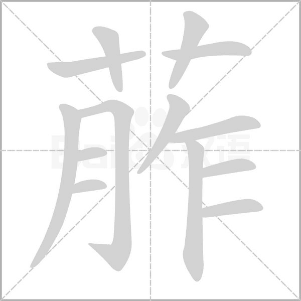 葄字笔顺动画