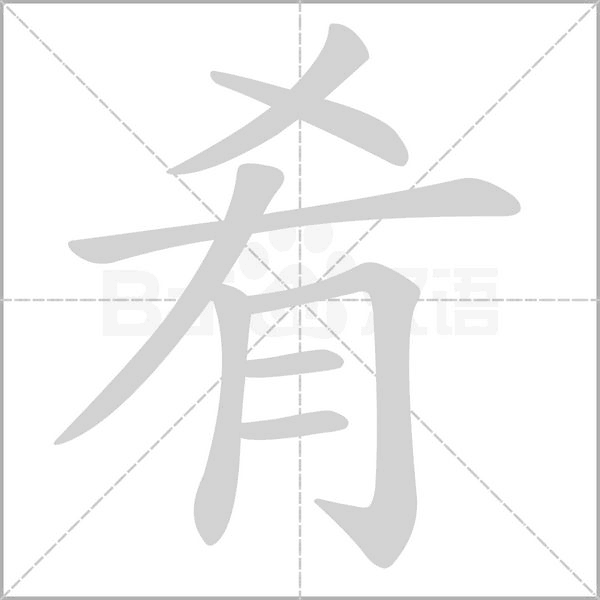 肴字笔顺动画