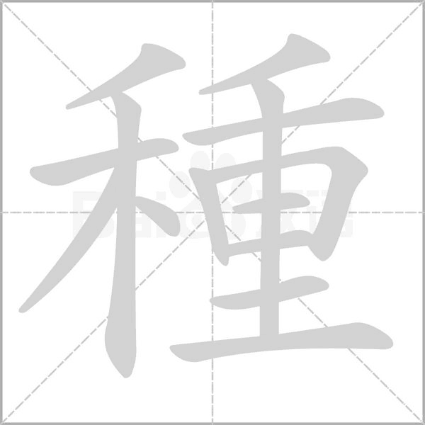 種字笔顺动画