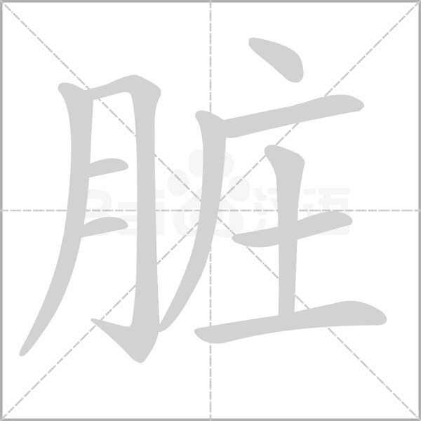脏字笔顺动画
