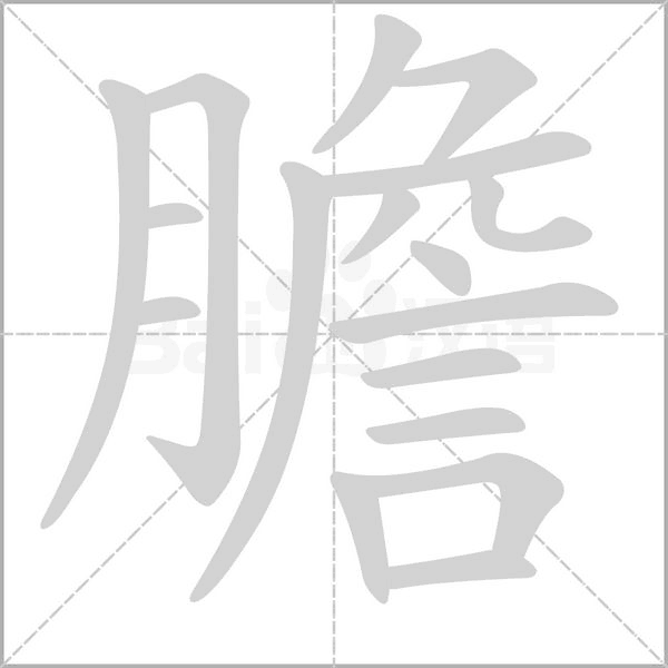 膽字笔顺动画