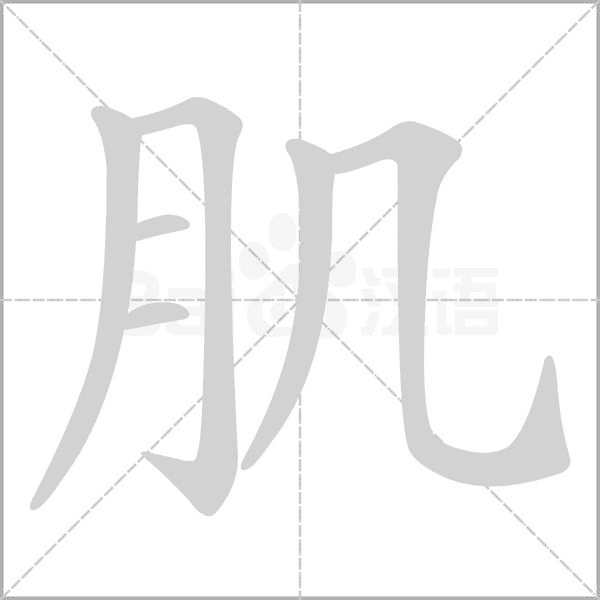 肌字笔顺动画