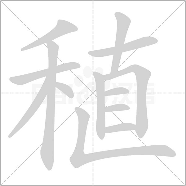 稙字笔顺动画