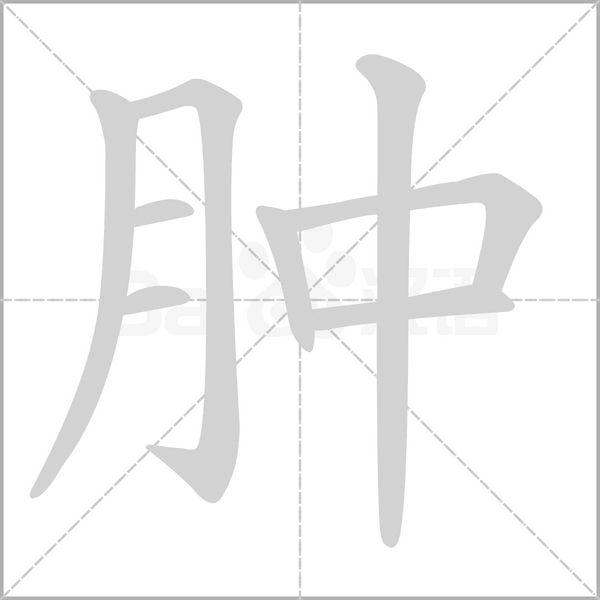 肿字笔顺动画