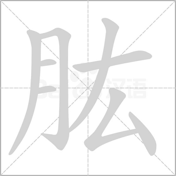 肱字笔顺动画