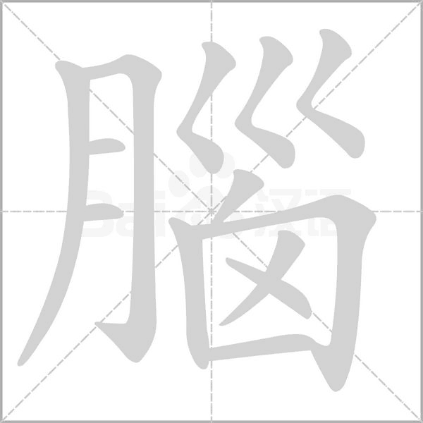 腦字笔顺动画