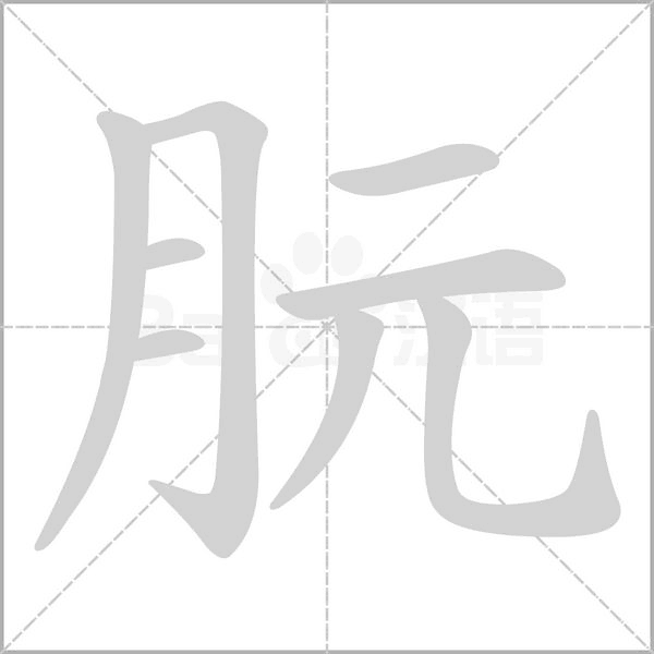 朊字笔顺动画