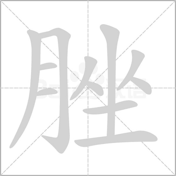 脞字笔顺动画