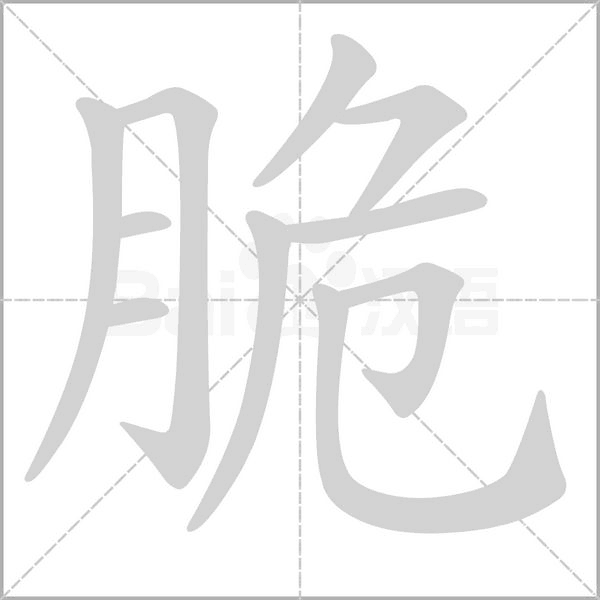 脆字笔顺动画