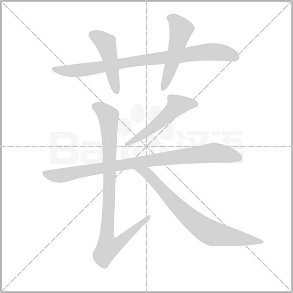 苌字笔顺动画