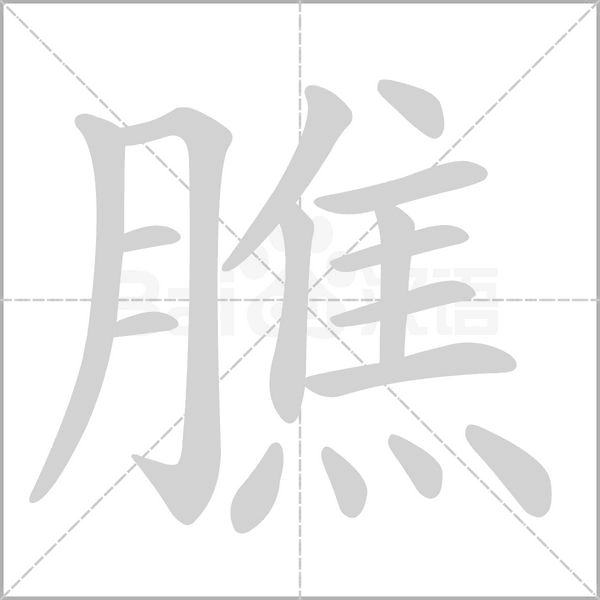 膲字笔顺动画