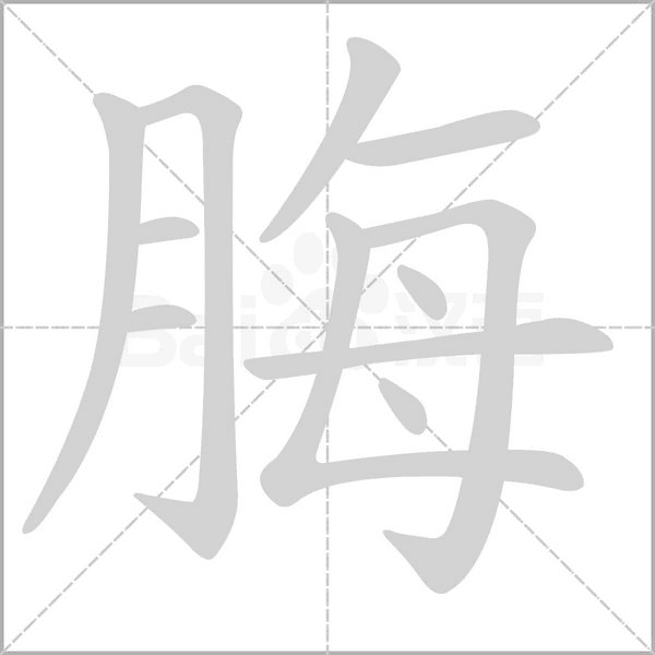 脢字笔顺动画