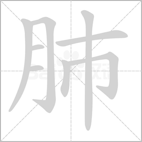 肺字笔顺动画